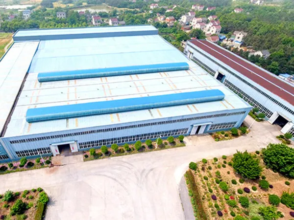 Company Profile